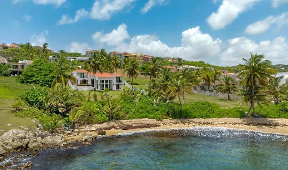 Olive Villa Palmas - Modern Beachfront Humacao