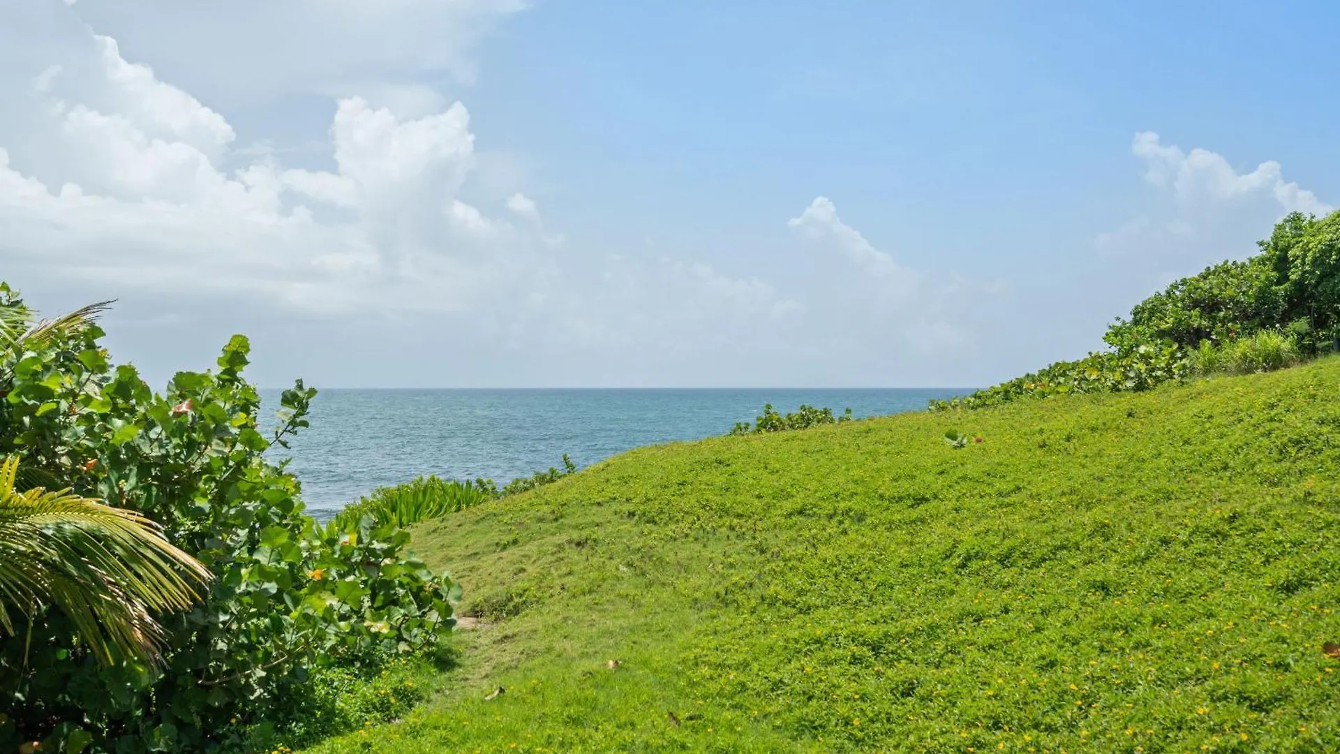 Olive Villa Palmas - Modern Beachfront Humacao